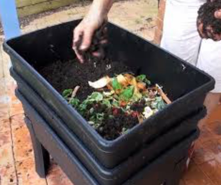 Worm Café Composter
