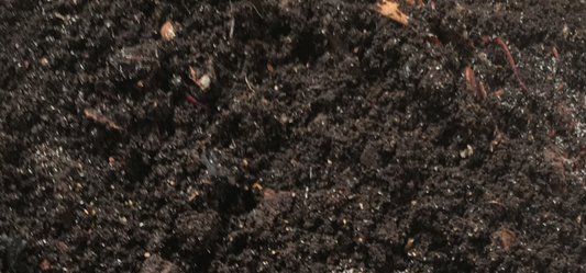 Vermicompost (compost organique)